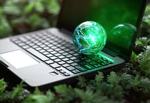 Sustainability in IT: How CIOs are Leading the Push for Environmentally Friendly and Sustainable Technology Solutions